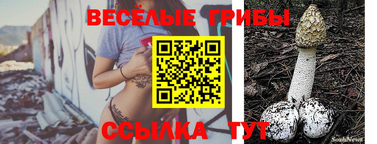 Галлюциногенные грибы мухоморы Нижнекамск
